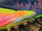 Nike Men’s Magista Obra II FG Volt/Orange Soccer Cleats 844595-708 Men 8