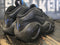 1999 Nike Neo Classic Black Flight 95 Vintage Sneaker Shoes 830169-001 Men 7.5