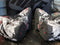 2013 Nike Lebron XI Graffiti Black/White Basketball Shoes 616175-100 Men 8 - SoldSneaker