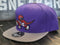 Mitchell & Ness Dynasty Toronto Raptors Purple/Gray HWC Fitted Hat Men 8