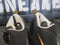 2019 Nike Gary Payton Zoom GP Glove Black Basketball Shoes AR4342 002 Men 9