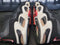 2009 Nike Air Max Griffey 1 Black/Orange/White Basketball Shoe 354912-002 Men 10