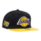 Mitchell & Ness Adult Los Angeles Lakers Original Fit 2000 NBA Finals Hardwood Classics Cap Hat Black