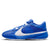Nike Giannis Freak 5 (Team) Basketball Shoes (DZ2946-400, Game Royal/White) Size 11