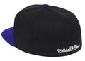 Mitchell & Ness Toronto Raptors Basic 2 Tone Dynasty Fitted Hat Cap - Black and Purple (Toronto Raptors, 7 3/4) - SoldSneaker