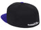 Mitchell & Ness Toronto Raptors Basic 2 Tone Dynasty Fitted Hat Cap - Black and Purple (Toronto Raptors, 7 3/4) - SoldSneaker