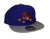 Mitchell & Ness Toronto Raptors Basic 2 Tone Dynasty Fitted Hat Cap - Purple and Gray (Toronto Raptors, 7 1/8) - SoldSneaker