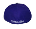 Mitchell & Ness Toronto Raptors Basic 2 Tone Dynasty Fitted Hat Cap - Purple and Gray (Toronto Raptors, 7 1/8) - SoldSneaker