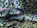 Vera Bradley Quilted Vintage Blue/Green Purse Shoulder Hand Bag - SoldSneaker